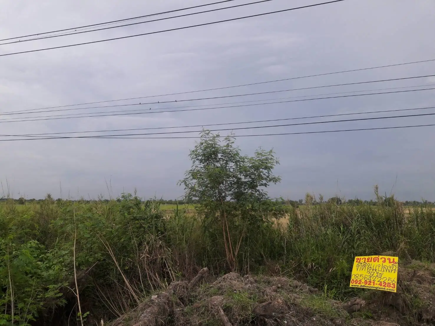 Land for sale Sai Noi