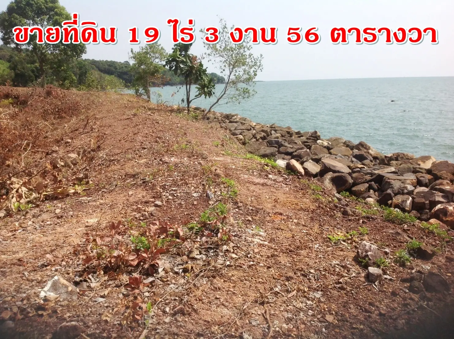 ขายที่ดินสวย ติดทะเล  19 ไร่ 3 งาน 56 ตารางวา  ตำบลหาดเล็ก อำเภอคลองใหญ่ จังหวัดตราด พื้นที่เศรษฐกิจ