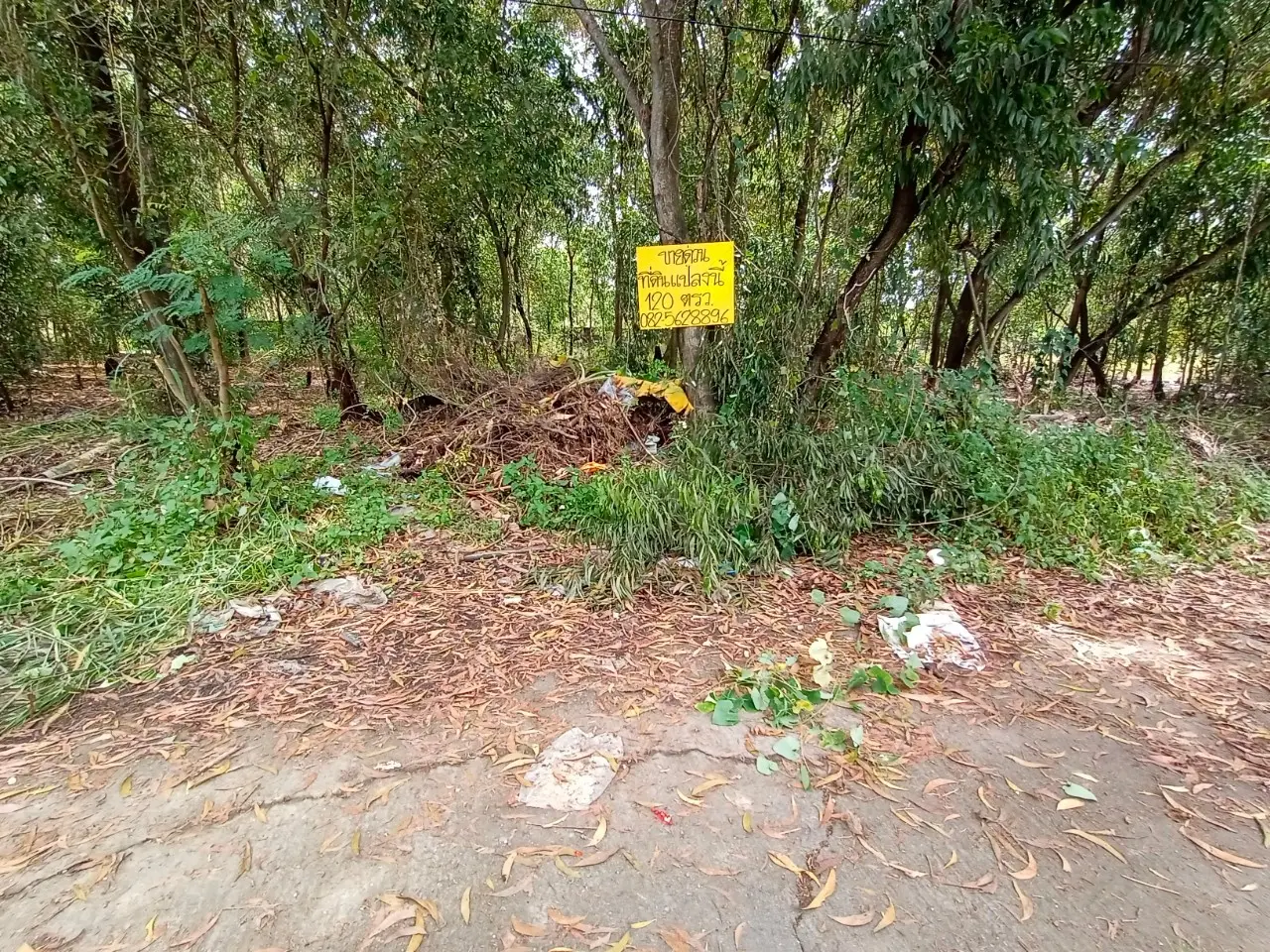 美丽的土地出售，位置优越，靠近法身寺，Talat Thai，距离Khlong Luang路仅50米。