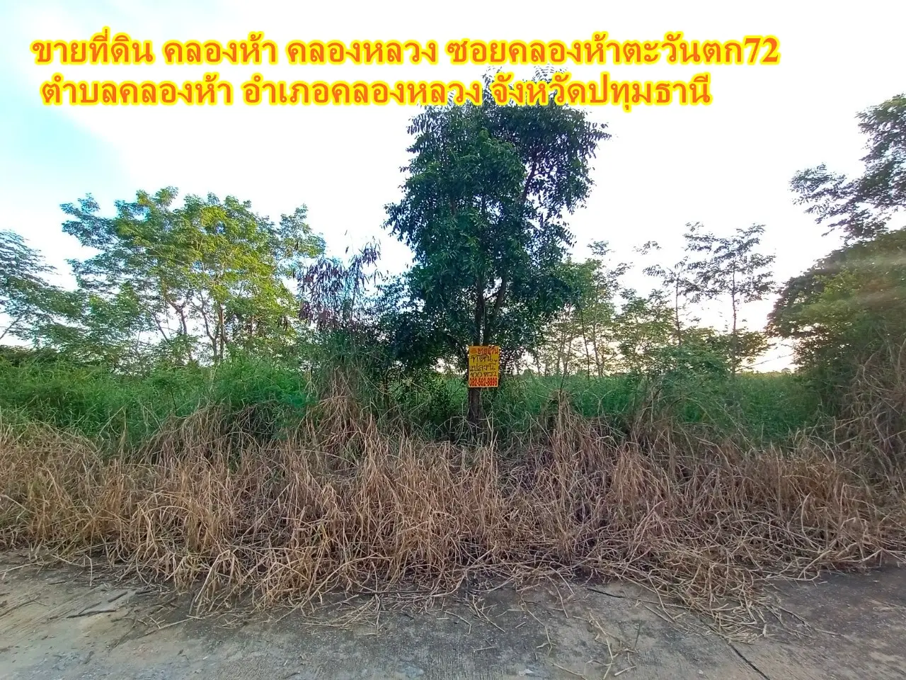Khlong Ha, Khlong Luang, Soi Khlong Ha West 72, Khlong Ha Subdistrict, Khlong Luang District 待售土地 巴吞他尼府