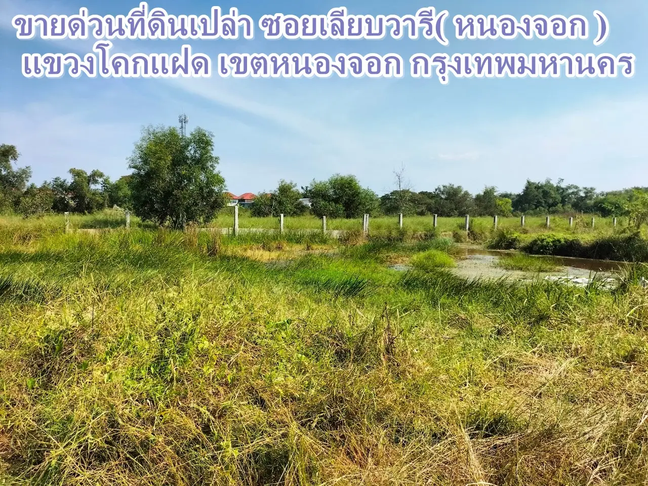 Land for sale urgently. Soi Leap Waree (Nong Chok), Khok Twin Subdistrict, Nong Chok District, Bangkok