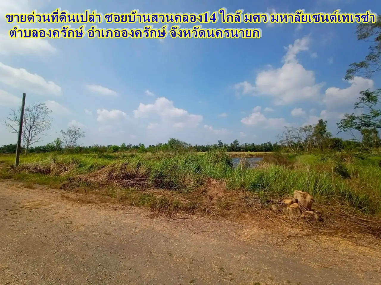 Land for sale urgently. Soi Ban Suan Khlong 14, near Srinakharinwirot University, St. Theresa Ongkharak Nakhon Nayok University