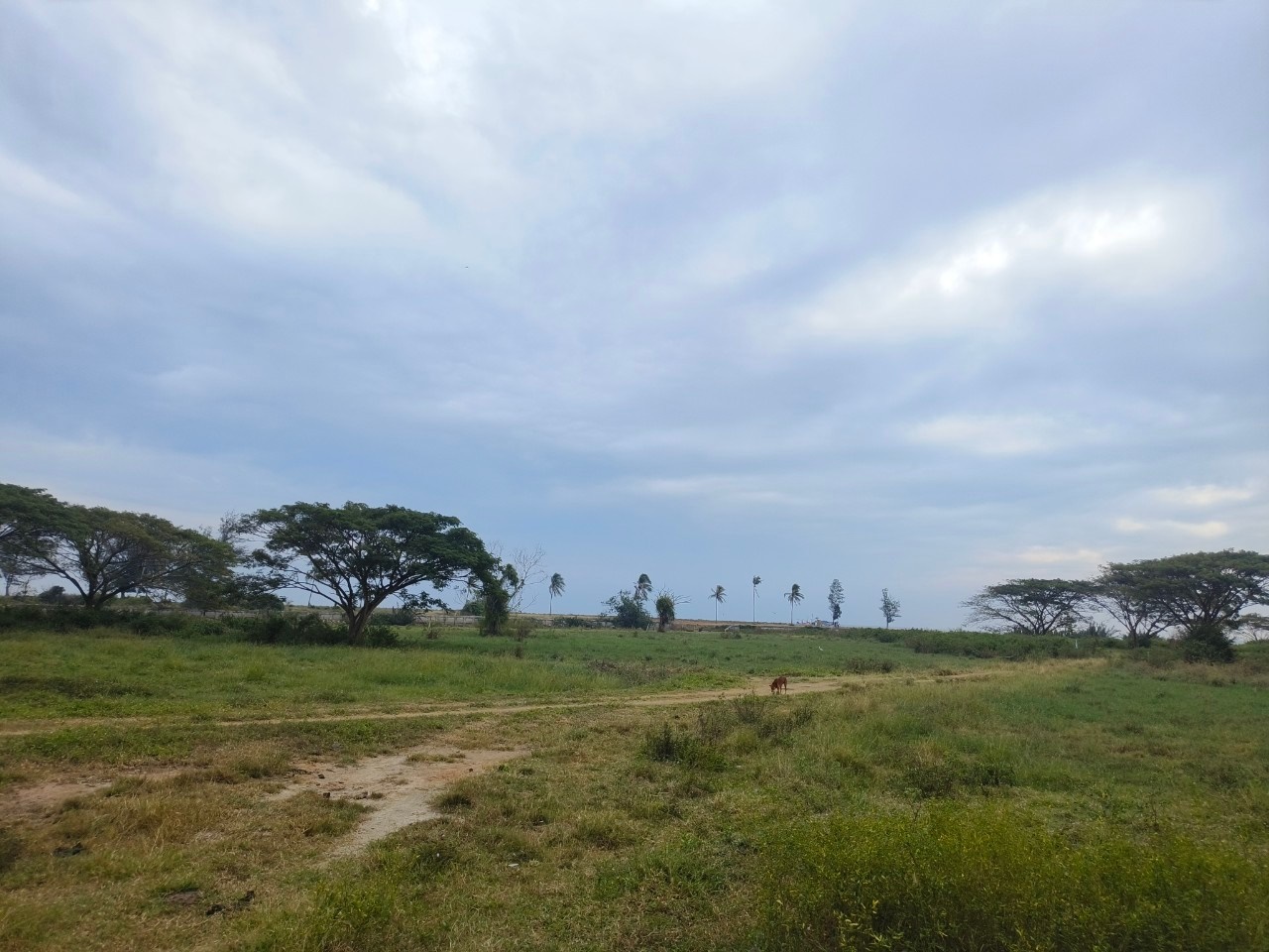 Hills