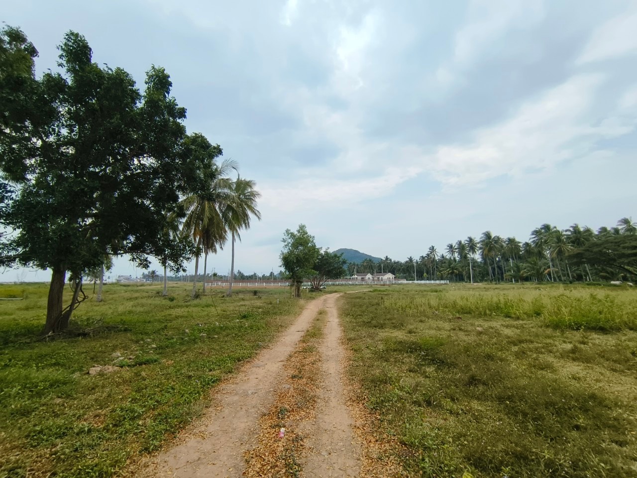 Hills