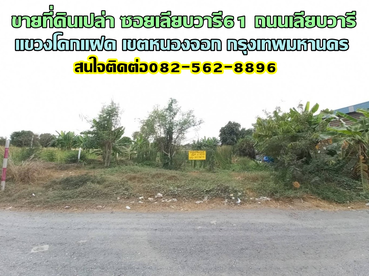 ขายที่ดินเปล่า ซอยเลียบวารี61 แขวงโคกแฝด เขตหนองจอก กรุงเทพมหานคร 