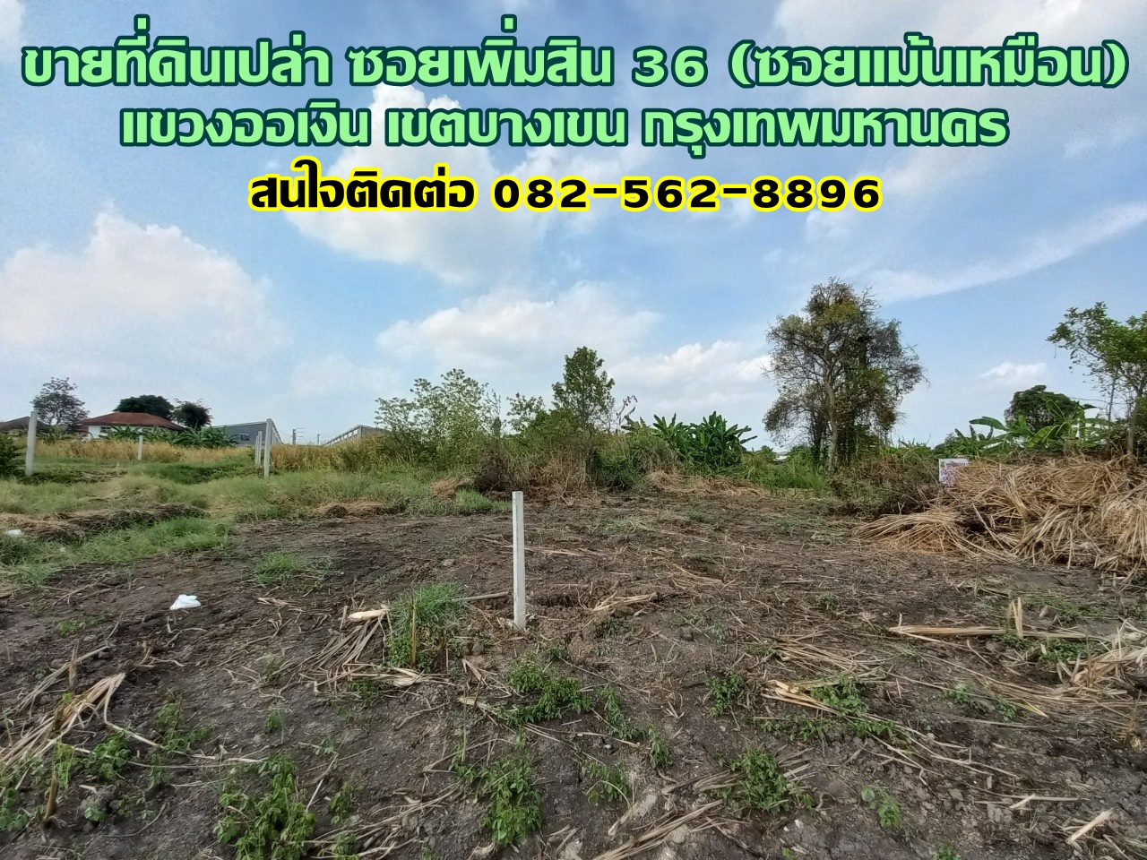 ขายที่ดินเปล่า ซอยเพิ่มสิน 36 (ซอยแม้นเหมือน) แขวงออเงิน(ท่าแร้ง) เขตบางเขน กรุงเทพมหานคร