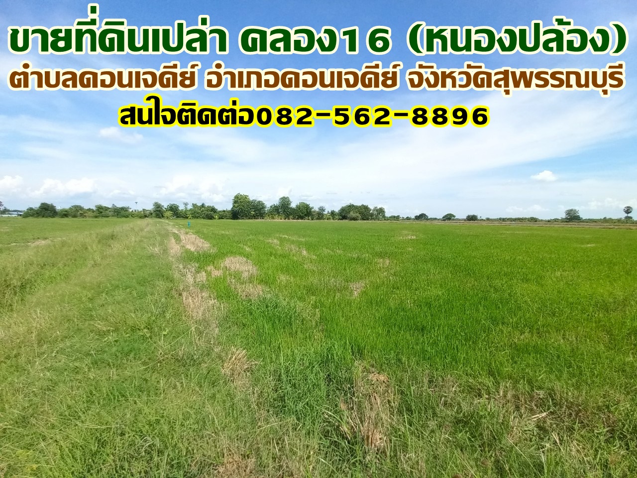 ขายที่ดินเปล่า คลอง16 (หนองปล้อง) อำเภอดอนเจดีย์ จังหวัดสุพรรณบุรี