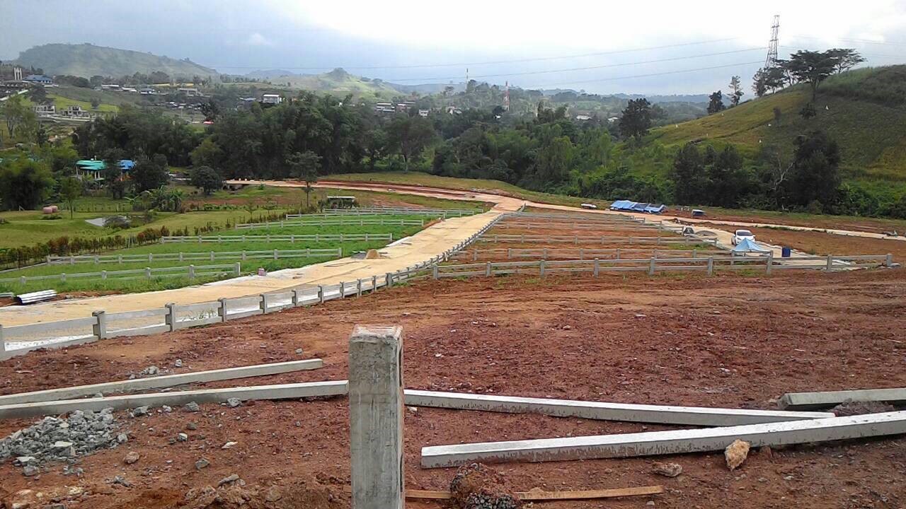 Hills