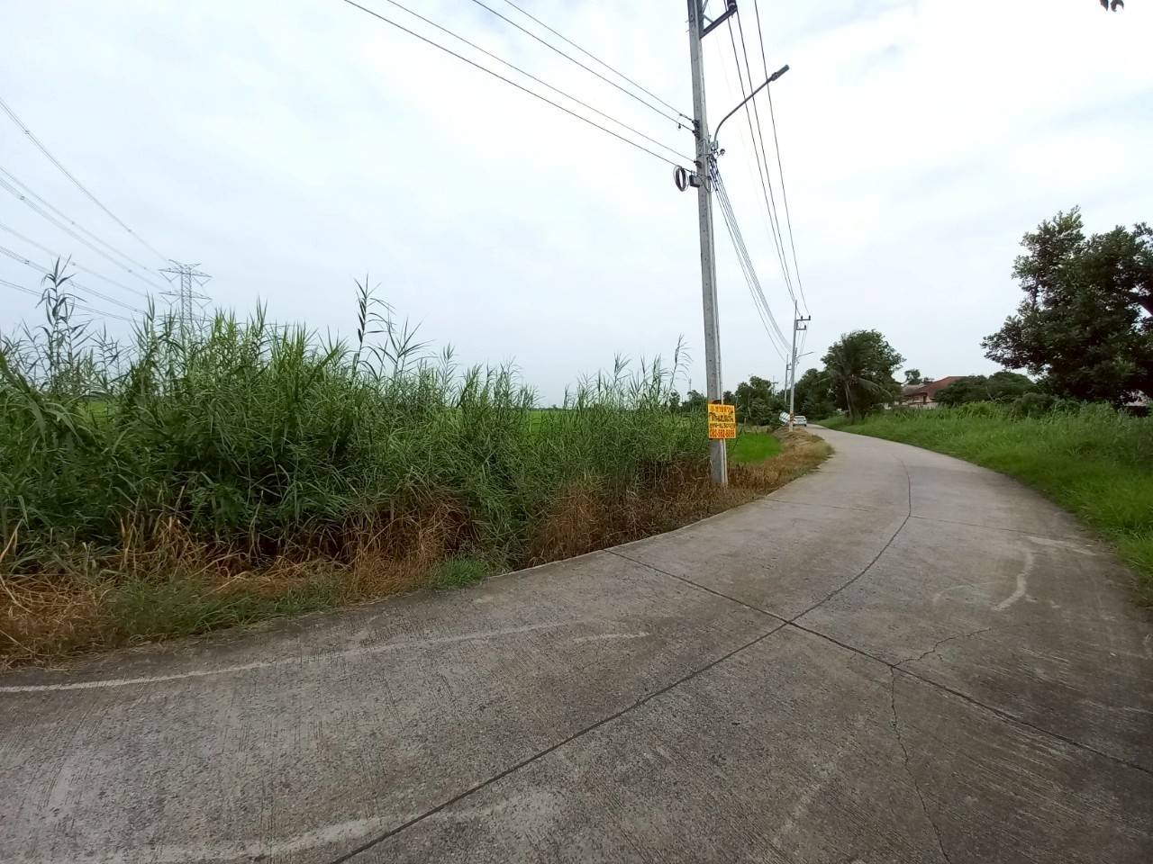 Hills