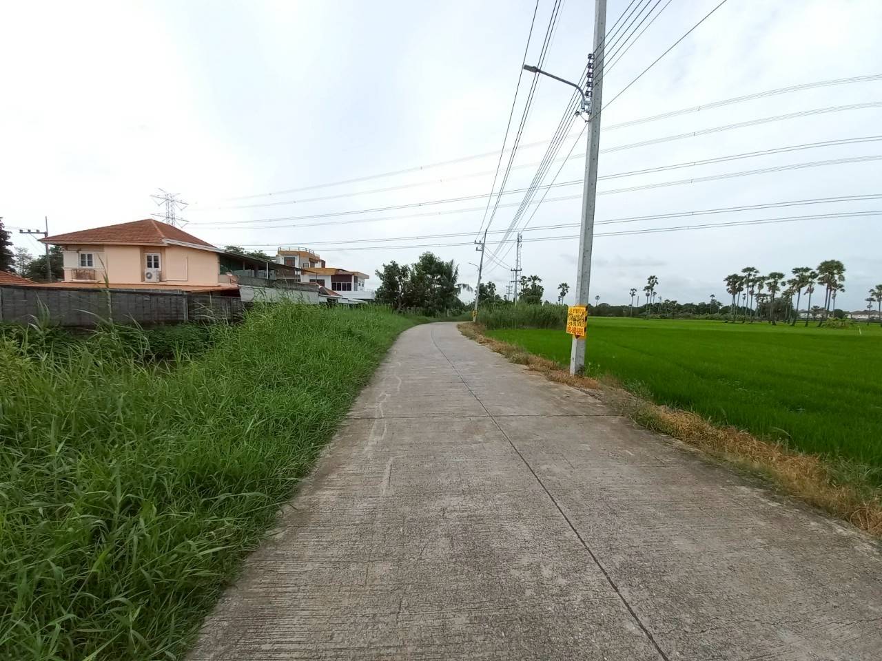 Hills