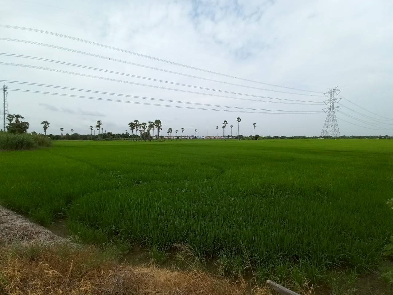 Hills