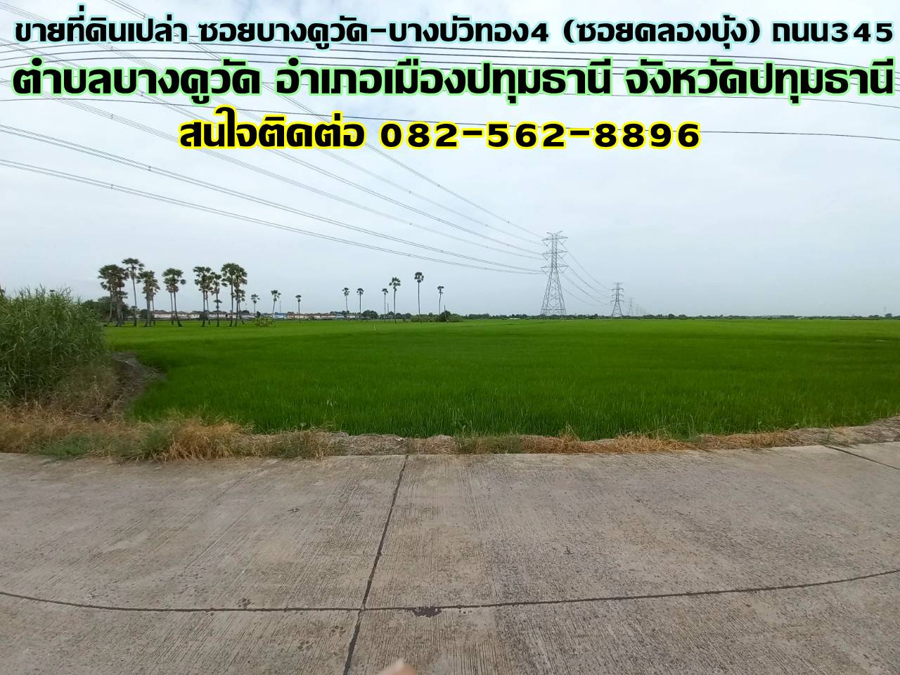 ขายที่ดินเปล่า ซอยบางคูวัด-บางบัวทอง4 (ซอยคลองบุ้ง) ถนน345  