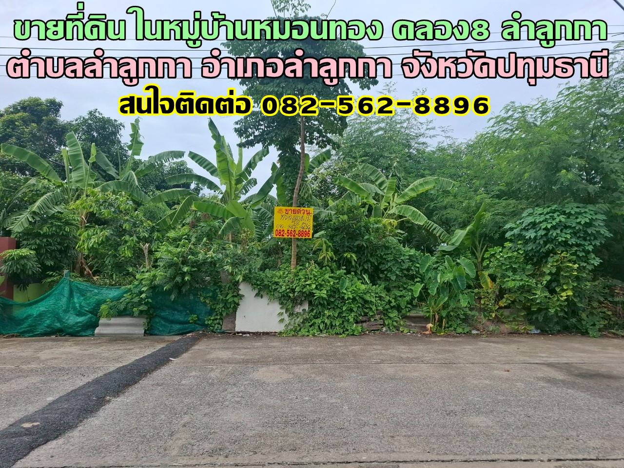 ขายที่ดิน ในหมู่บ้านหมอนทอง คลอง8 ลำลูกกา