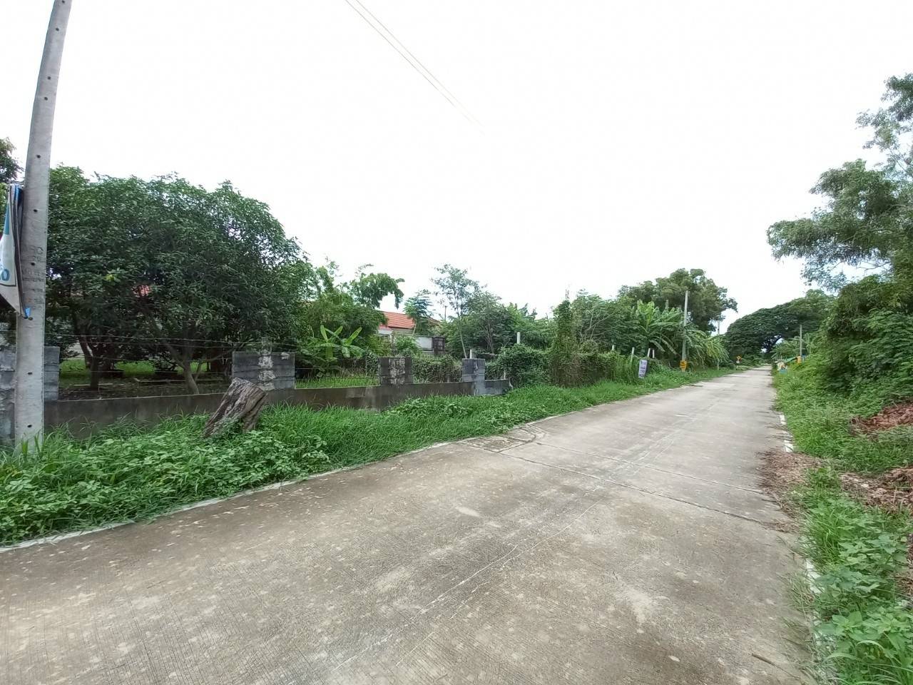 Hills