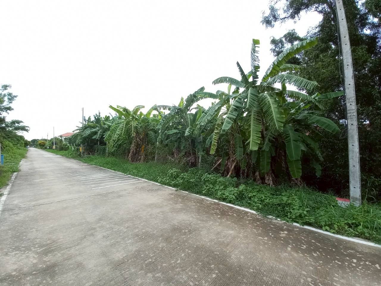 Hills
