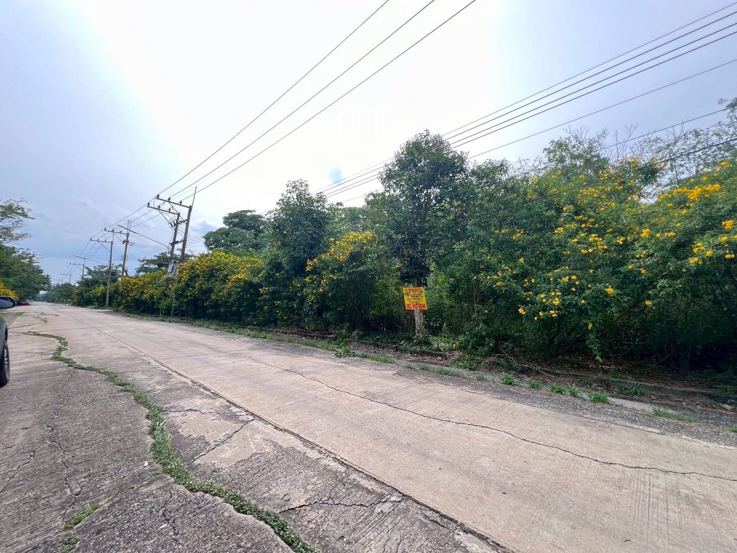 Hills