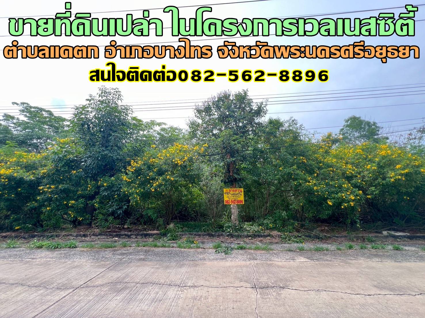 ขายที่ดินเปล่า ในโครงการเวลเนสซิตี้ บางไทร พระนครศรีอยุธยา