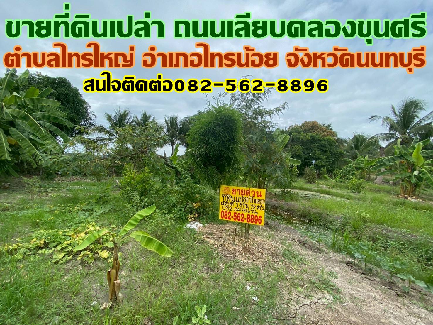 ขายที่ดินเปล่า ถนนเลียบคลองขุนศรี ตำบลไทรใหญ่ อำเภอไทรน้อย จังหวัดนนทบุรี