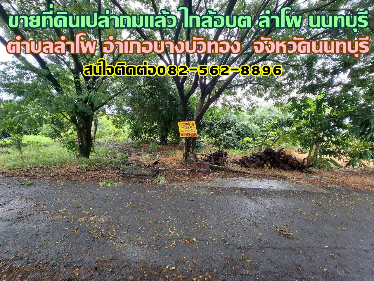 ขายที่ดินเปล่าถมแล้ว ใกล้อบต ลำโพ นนทบุรี ซอยตรงข้ามที่ทำการผู้ใหญ่บ้าน 