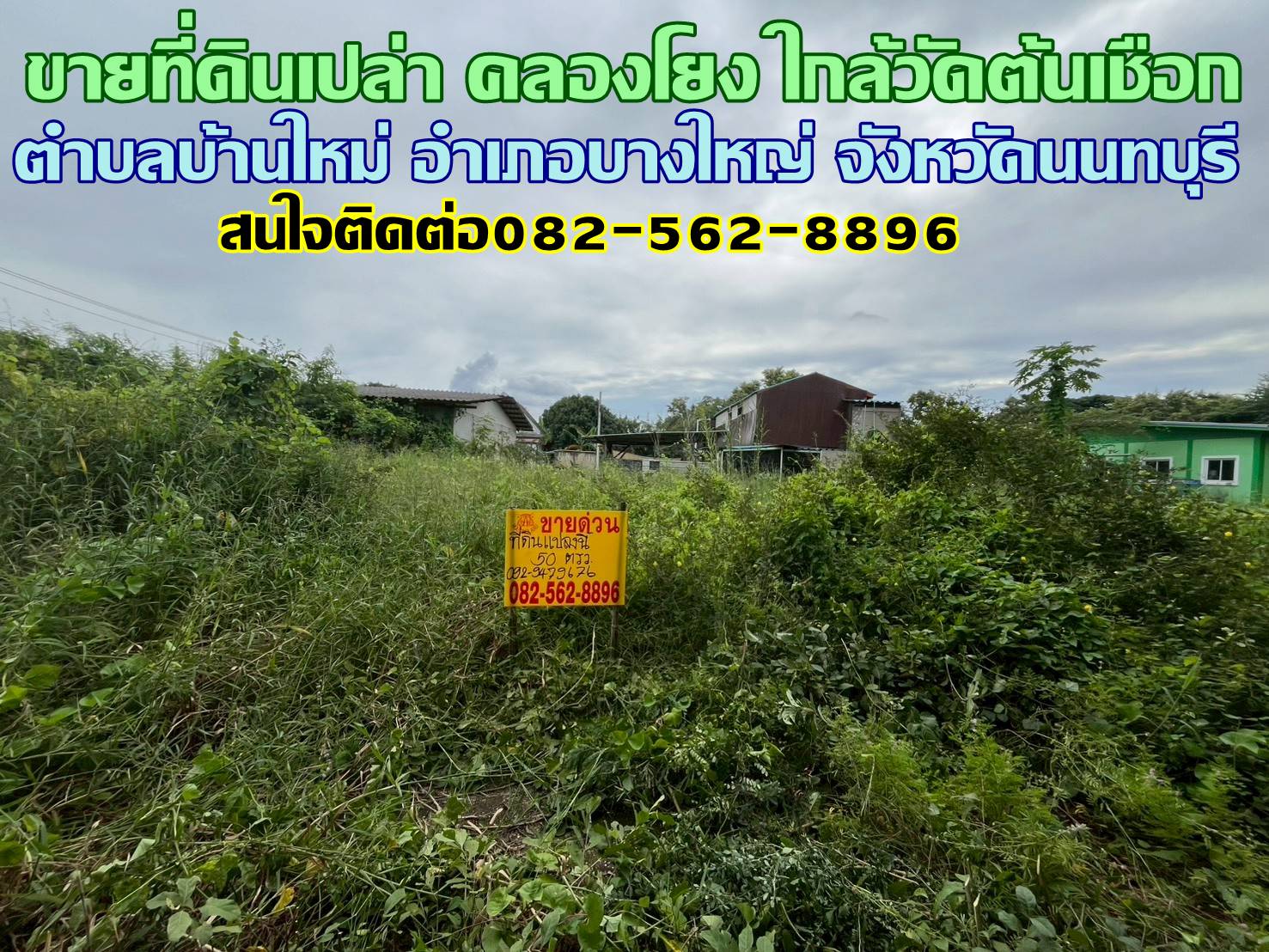 ขายที่ดินเปล่า คลองโยง ใกล้วัดต้นเชือก บางใหญ่ นนทบุรี