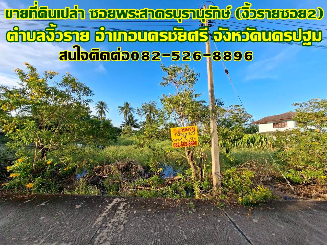 ขายที่ดินเปล่า ซอยพระสาครบุรานุรักษ์ (งิ้วรายซอย2)