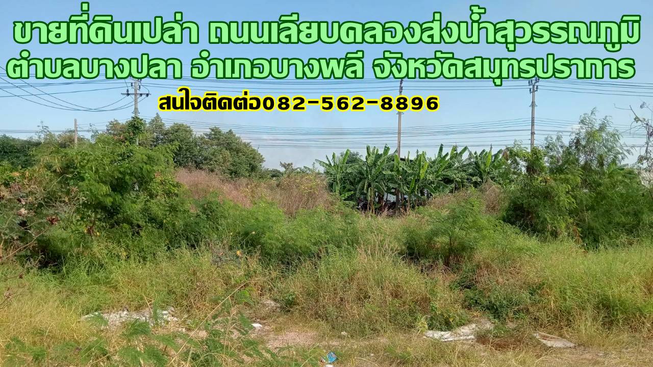 ขายที่ดินเปล่า ถนนเลียบคลองส่งน้ำสุวรรณภูมิ ตำบลบางปลา อำเภอบางพลี จังหวัดสมุทรปราการ