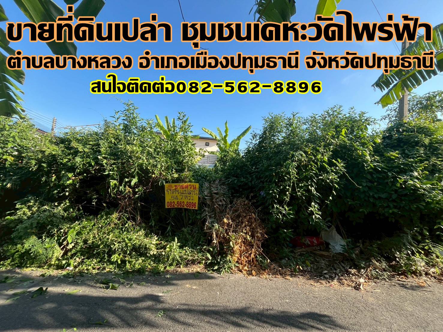 ขายที่ดินเปล่า ชุมชนเคหะวัดไพร่ฟ้า ถนนราชพฤกษ์