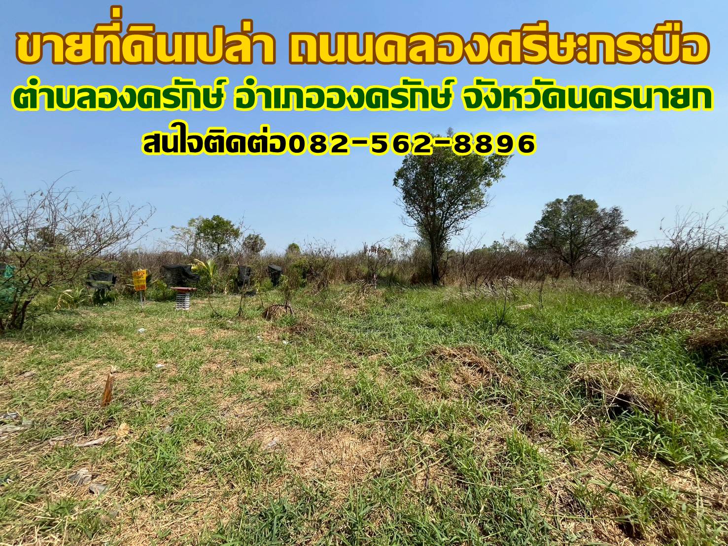 ขายที่ดินเปล่า ถนนคลองศรีษะกระบือ องครักษ์ นครนายก