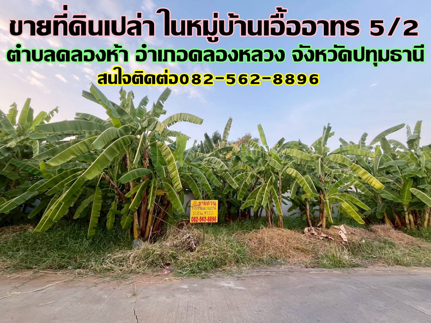 ขายที่ดินเปล่า ในหมู่บ้านเอื้ออาทร 5/2 คลองหลวง