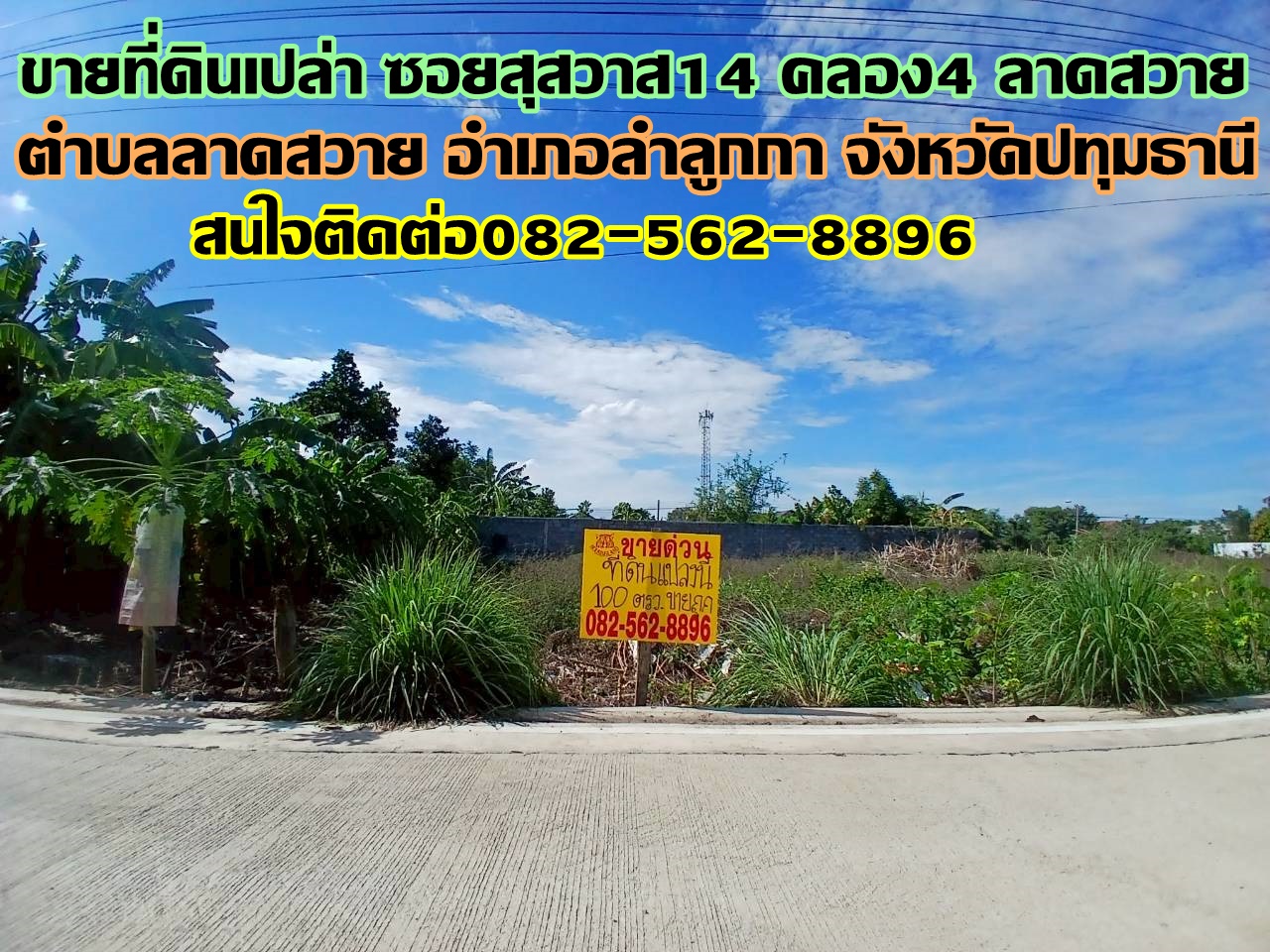 ขายที่ดินเปล่า ซอยสุสวาส14 คลอง4 ลาดสวาย