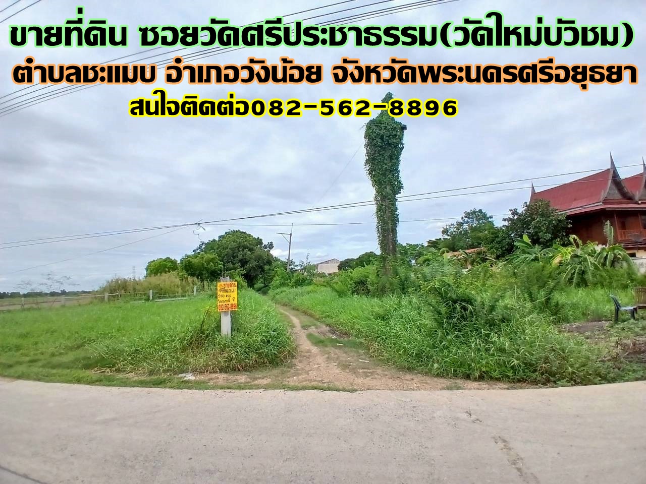 ขายที่ดิน ซอยวัดศรีประชาธรรม(วัดใหม่บัวชม) วังน้อย