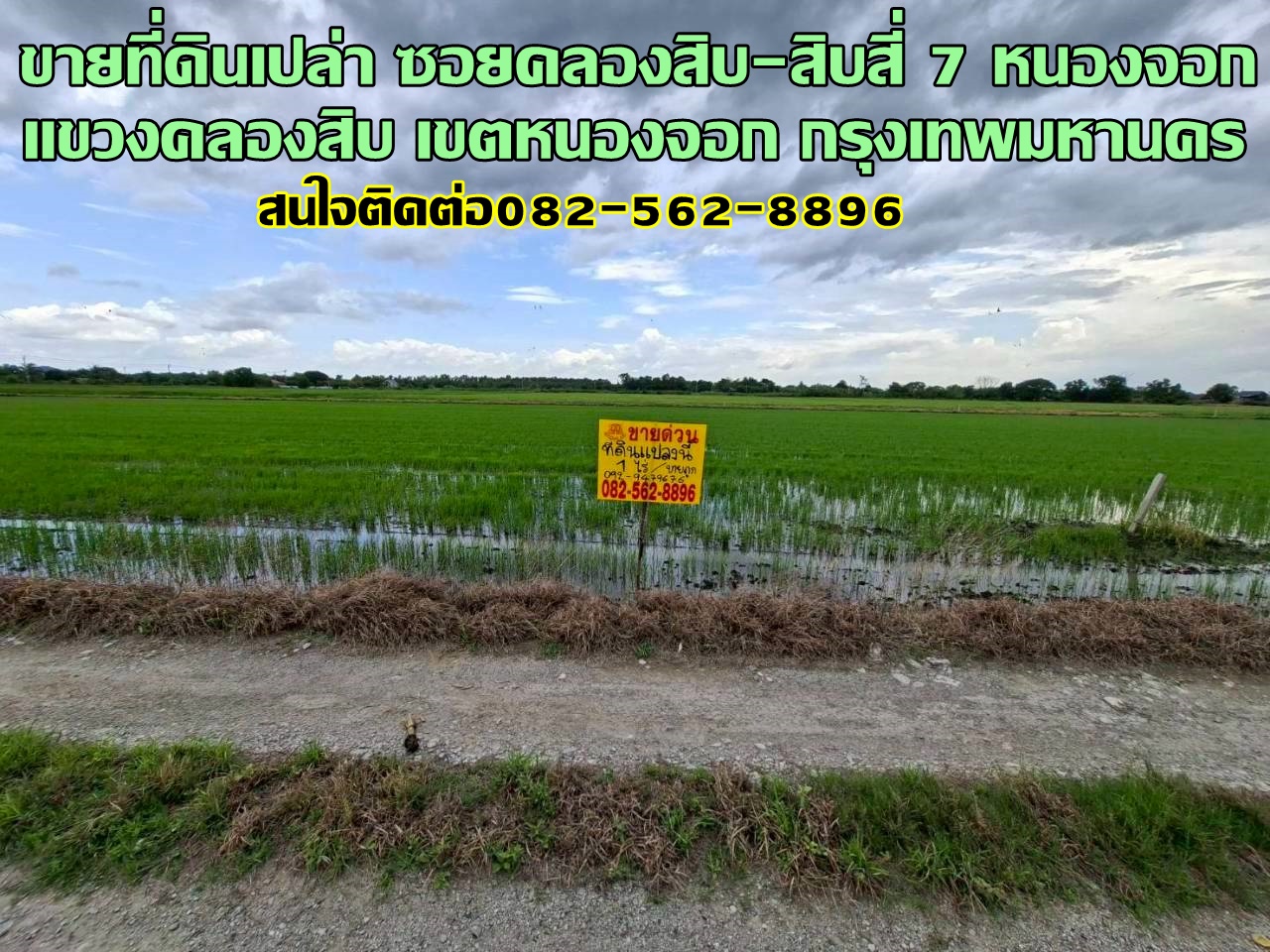 ขายที่ดินเปล่า ซอยคลองสิบ-สิบสี่ 7 หนองจอก
