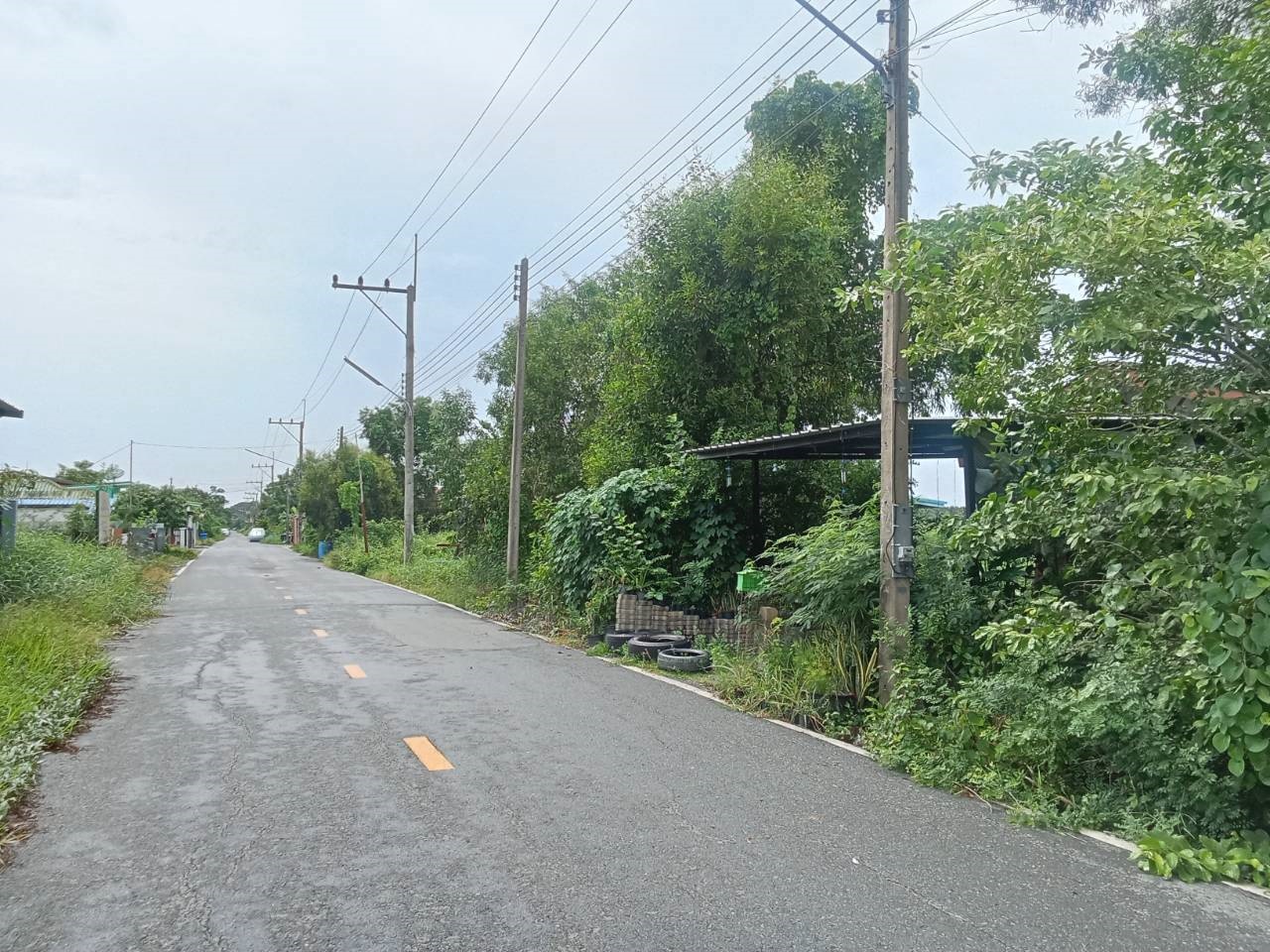 Hills